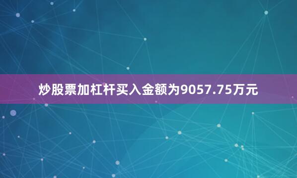 炒股票加杠杆买入金额为9057.75万元