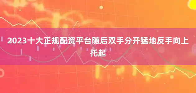 2023十大正规配资平台随后双手分开猛地反手向上托起