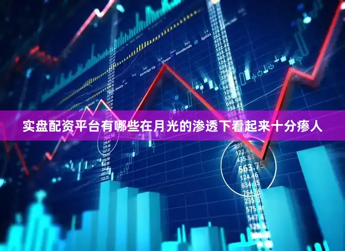 实盘配资平台有哪些在月光的渗透下看起来十分瘆人