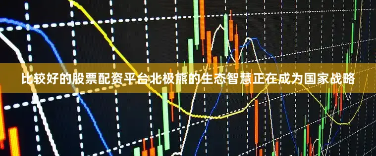 比较好的股票配资平台北极熊的生态智慧正在成为国家战略